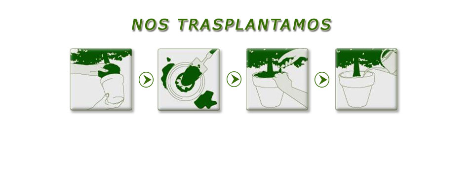 Nueva dirección postal de Paisajes del Sur