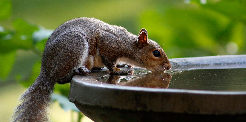 Agua potable en una fuente