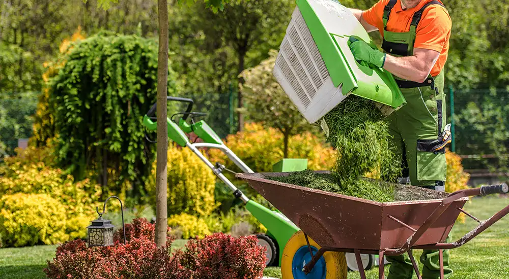 Arreglando el jardín