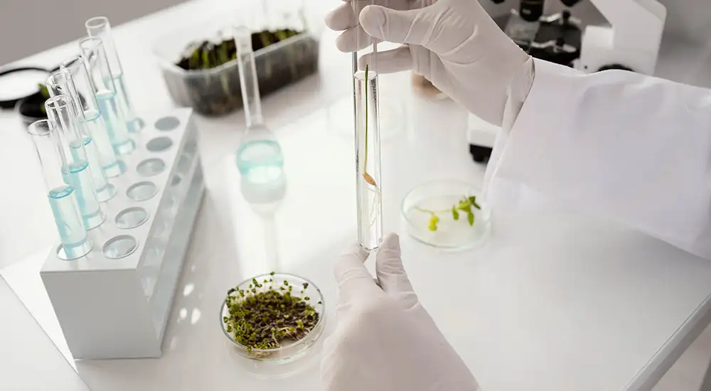 Estudio y avances científicos