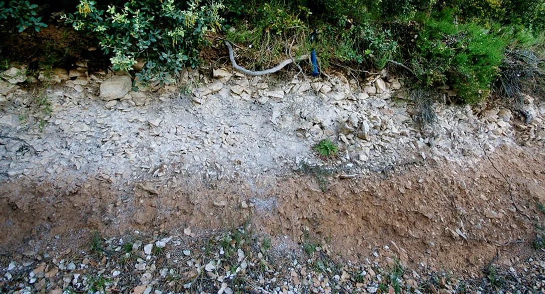 Capa de tierra con carbonato cálcico