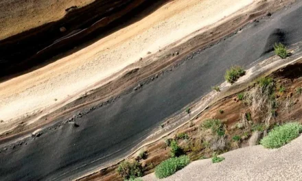 El color en el suelo