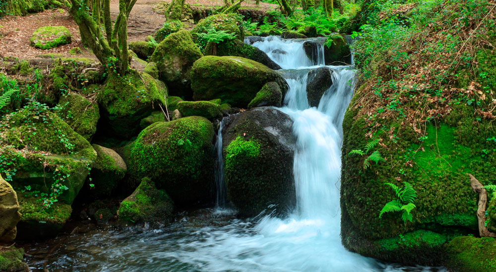 Día de las Reservas Naturales Fluviales