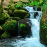 Día de las Reservas Naturales Fluviales