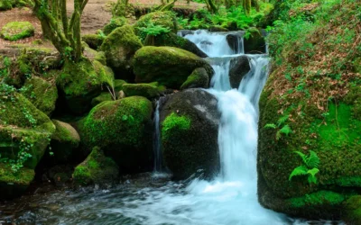 Día de las Reservas Naturales Fluviales
