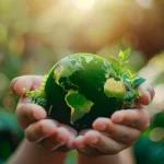 Día Mundial de la Ecología