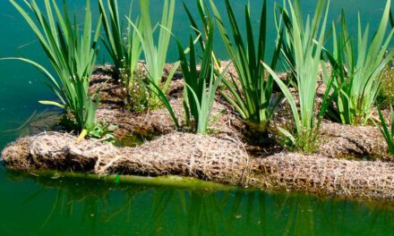 Colchones orgánicos flotantes