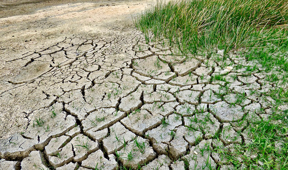 Consecuencias del cambio climático