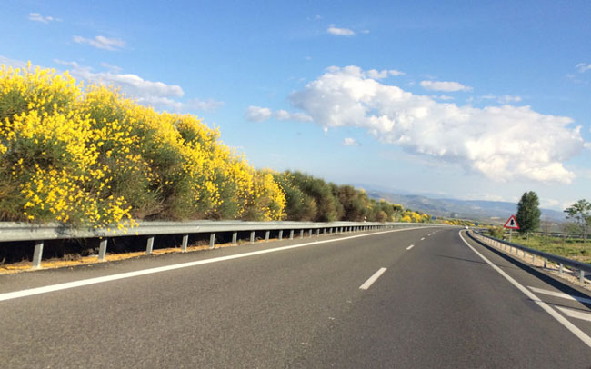 Trabajos de poda en las autovías andaluzas