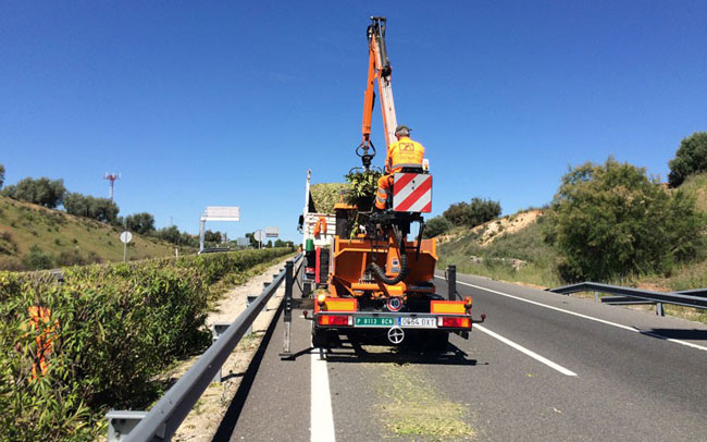 Trabajos de poda en las autovías andaluzas