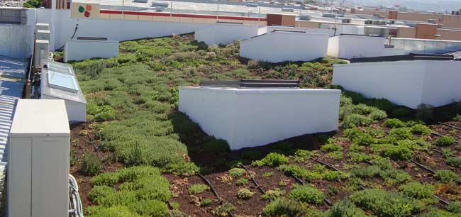 Jornada de cubiertas verdes y ajardinamientos verticales