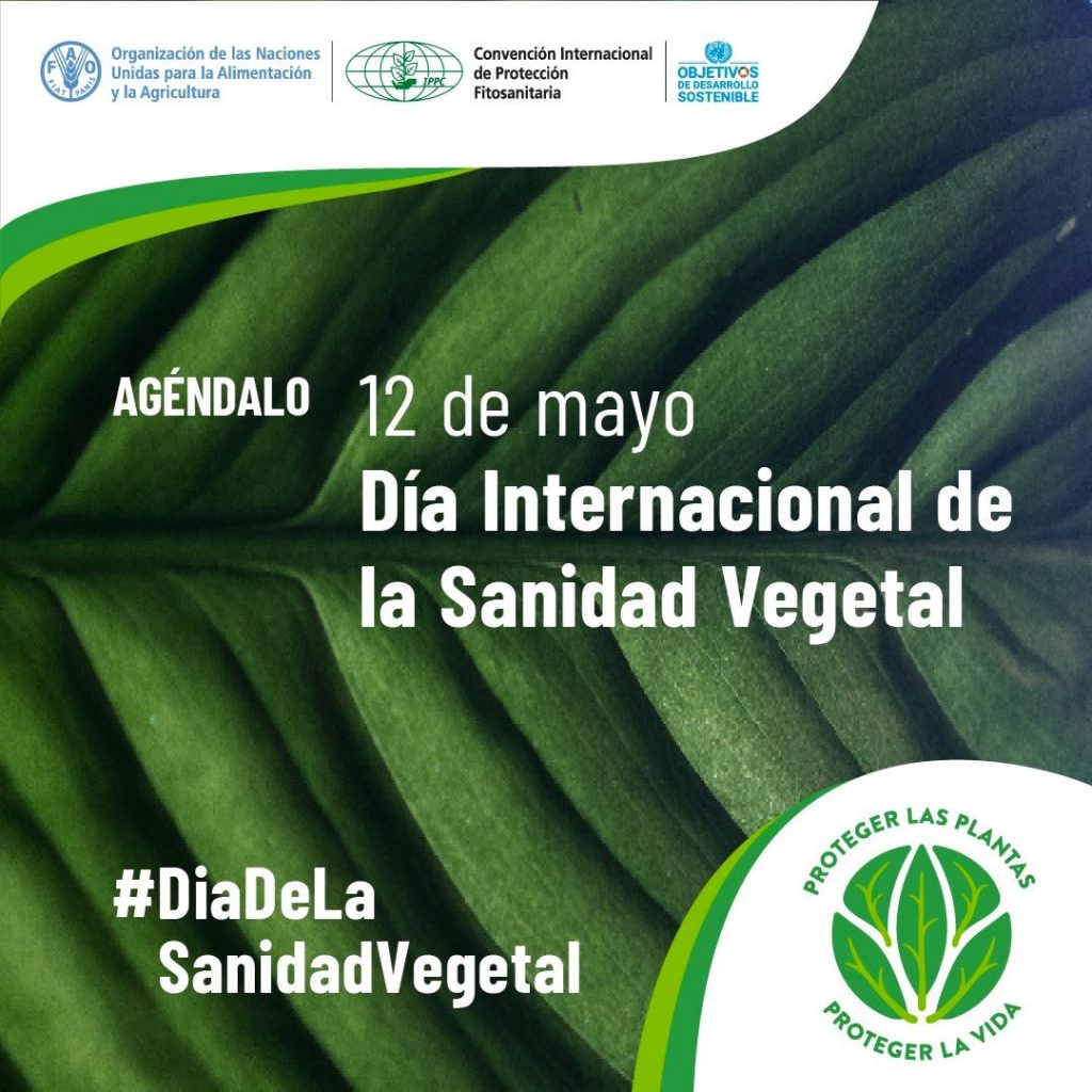 Día internacional de la sanidad vegetal