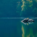 Día Mundial del Agua