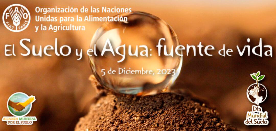 Lema del Día Mundial del Suelo (DMS) 2023: El Suelo y el Agua: fuente de vida