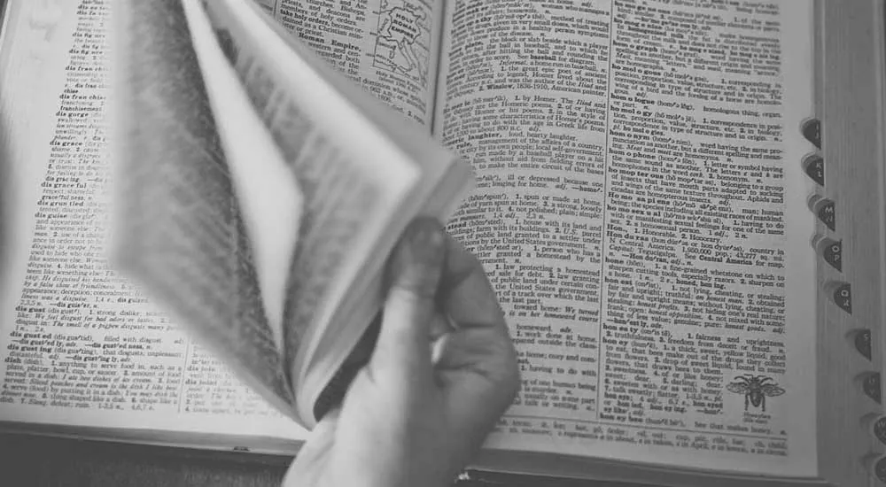 Diccionario multilingüe de la Ciencia del suelo