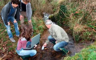 Día Mundial de la Educación Ambiental