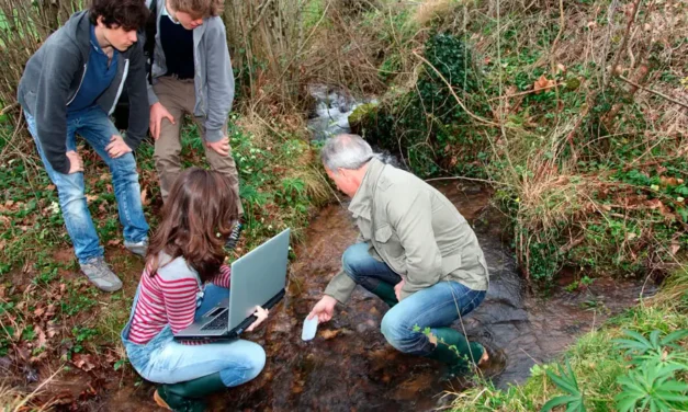 Día Mundial de la Educación Ambiental