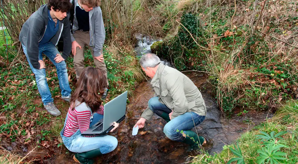 Día Mundial de la Educación Ambiental