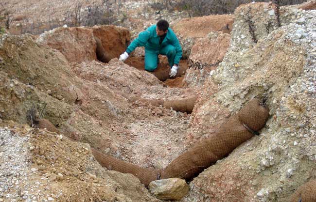 Reparación y estabilización de cárcavas en olivares