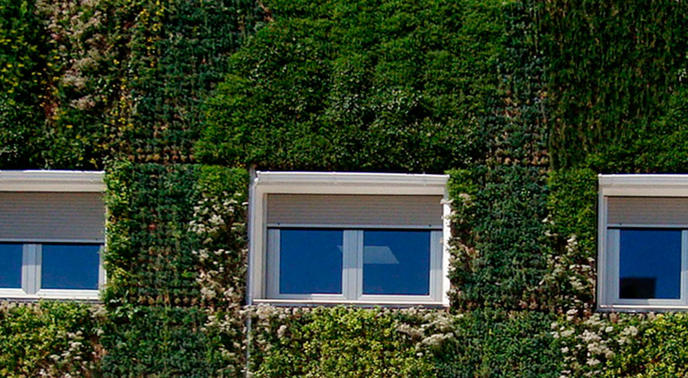 Jardines verticales y fachadas vegetadas