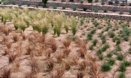 Gala de los Agronutrientes en Valencia