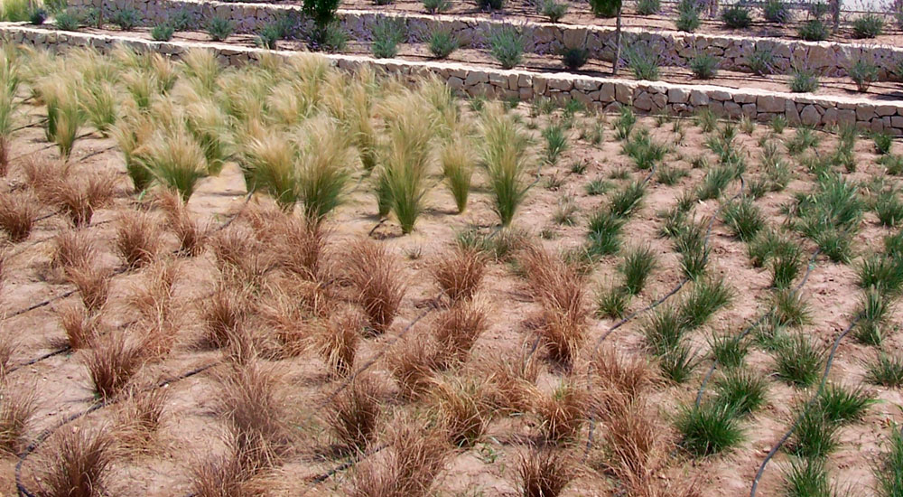 Gala de los Agronutrientes en Valencia