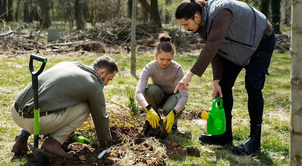 Formación en educación ambiental
