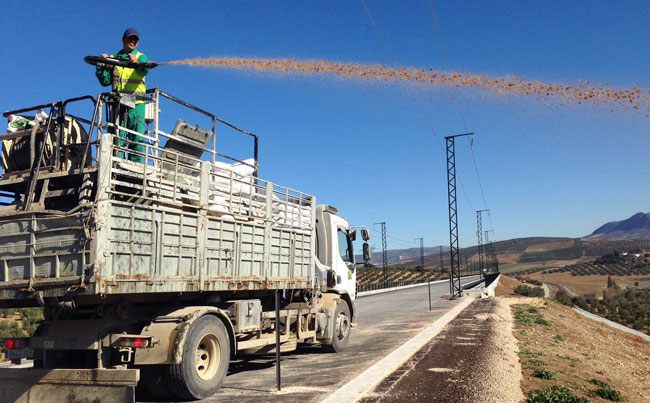 Hidrosiembras y plantaciones en una línea de AVE