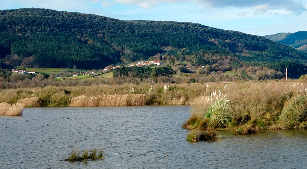 Conservación de humedales