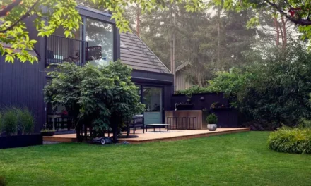 Tendencias e innovaciones en jardinería que triunfarán este 2025