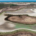 Sequía en el Parque Nacional de Doñana