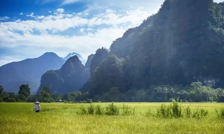 Día Internacional de las Reservas de la Biosfera