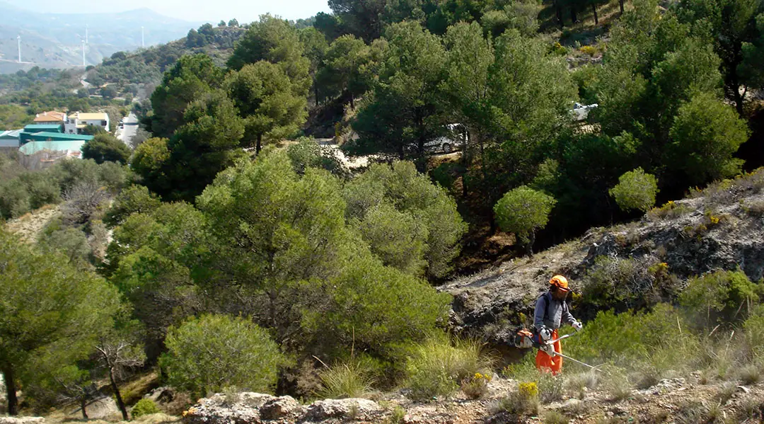 Mantenimiento de montes