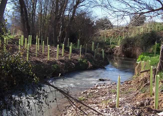 Conservación y Mantenimiento de Espacios Naturales