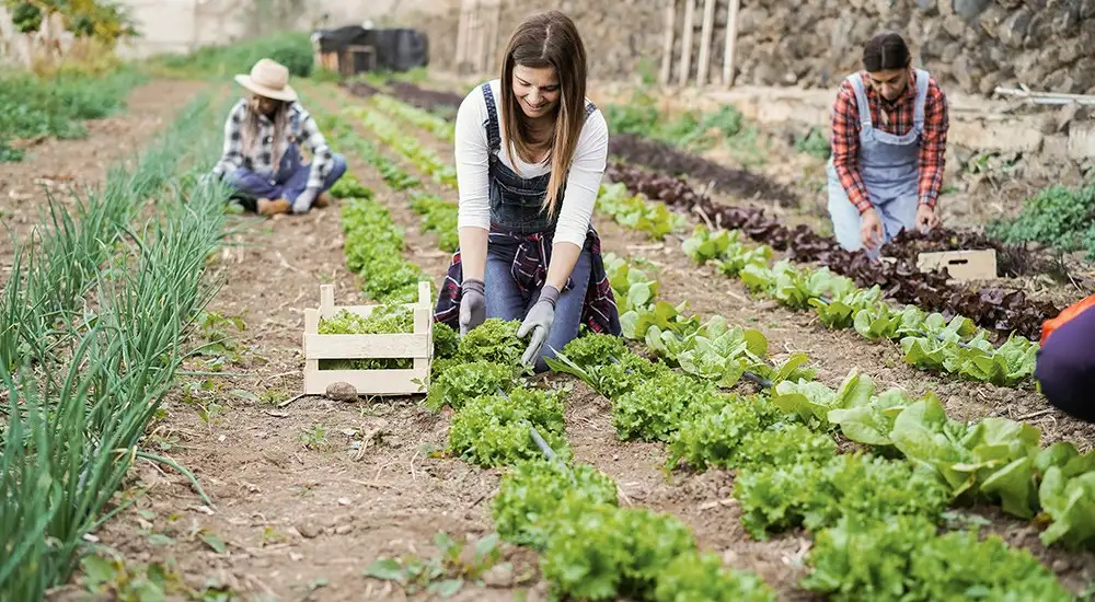 Día Internacional de las Mujeres Rurales