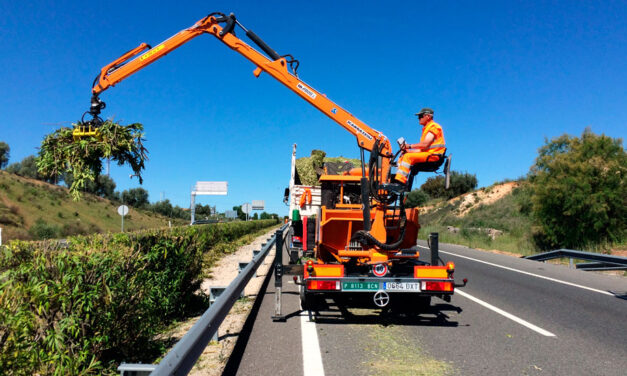 Trabajos de podas de seto en mediana de autovía