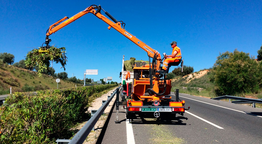 Trabajos de podas de seto en mediana de autovía