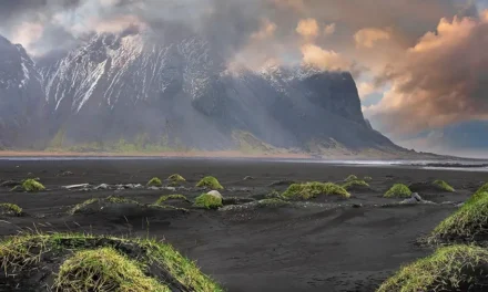 Día Mundial frente al Calentamiento Terrestre