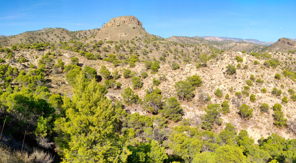 Paisaje de tipo mediterráneo