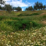 Día Mundial del Suelo