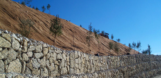 Plantaciones en restauraciones paisajísticas