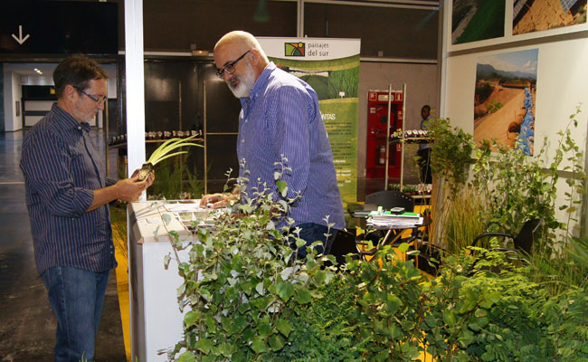 Plantas macrófitas y de naturación