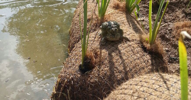 Recuperación de un espacio natural deteriorado