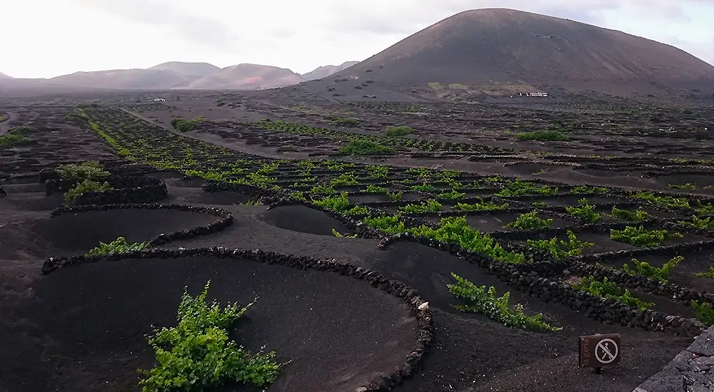 Reserva de la Biosfera Lanzarote