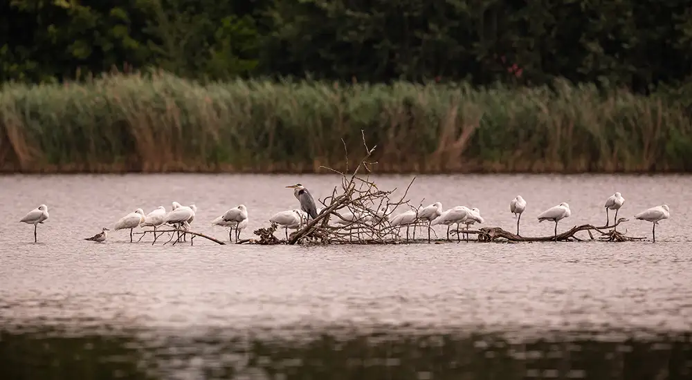 Reserva de la Biosfera Urdaibai