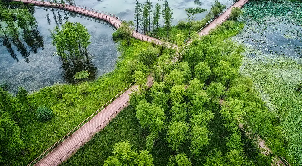 Restauración del paisaje natural