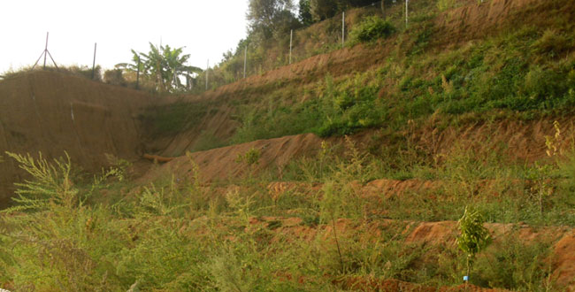 Detalles tras 4 meses después de la finalización de la obra