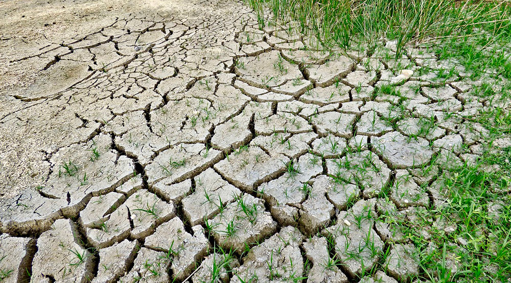 Sequía en campos agrícolas