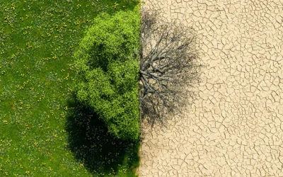 Día Internacional contra el Cambio Climático