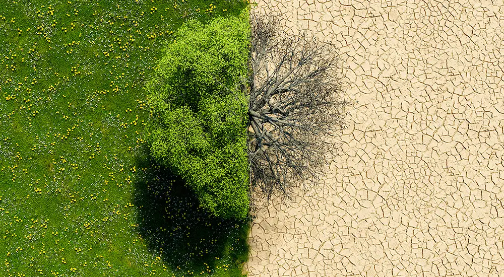 Día Internacional contra el Cambio Climático